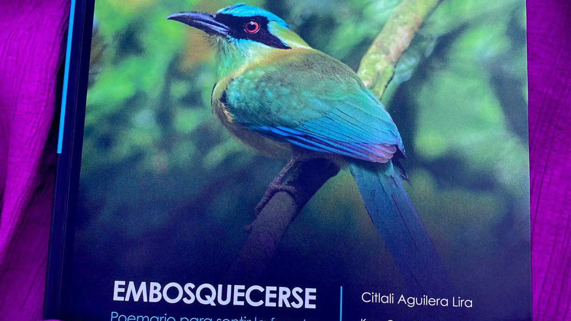 libro embosquecerse-cortesia citlali aguilera